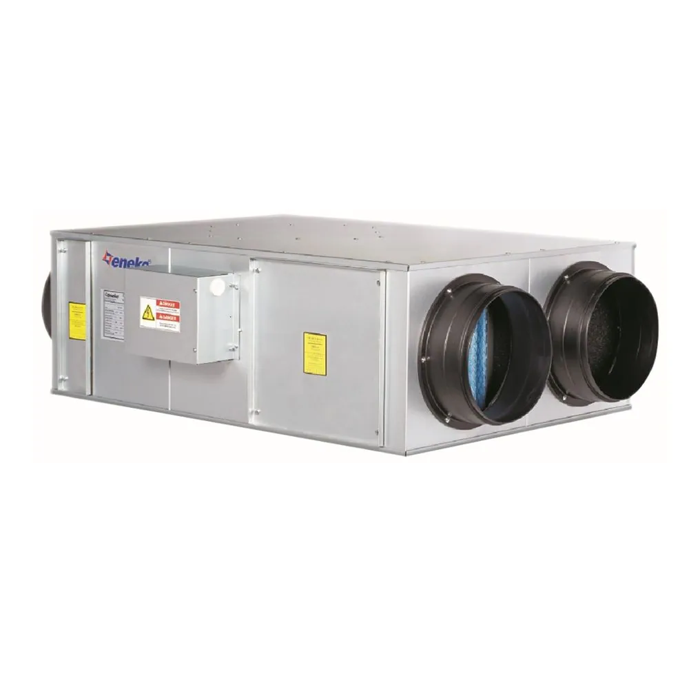 Приточно-вытяжная установка Royal Clima RCE-2020-P.SP Lite AC