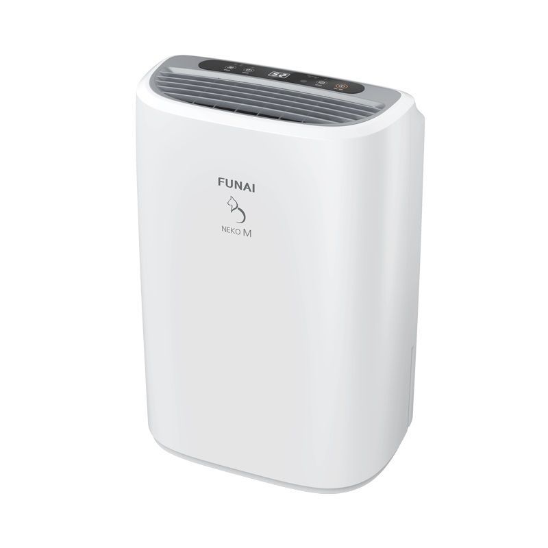 Изображение для товара Funai RAD-N12F5E