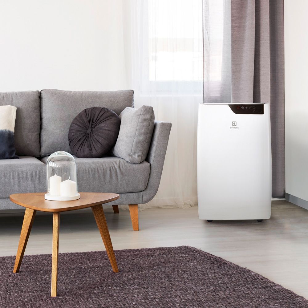 Изображение для товара Electrolux EACM-12 GT/N3