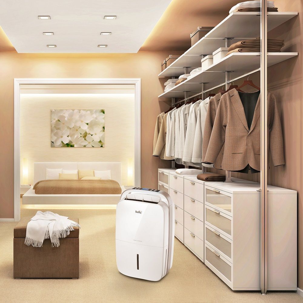 Изображение для товара Ballu BD30MN