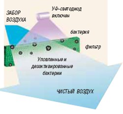 Ультрафиолетовая очистка воздуха